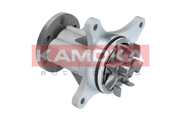 Water Pump, engine cooling T0093