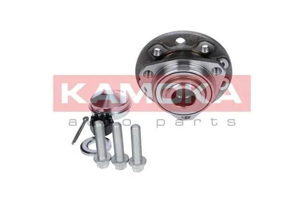 Wheel Bearing Kit 5500060