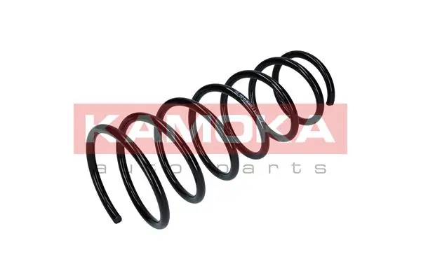 Suspension Spring 2120034