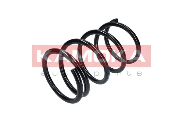 Suspension Spring 2110302