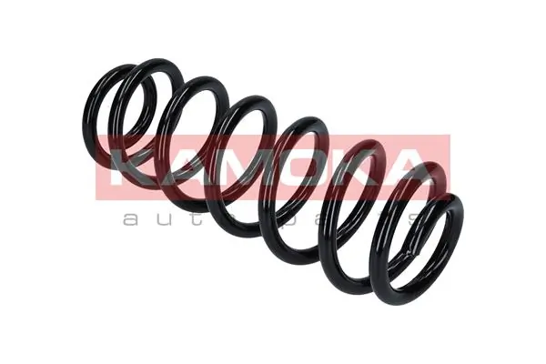 Suspension Spring 2120223