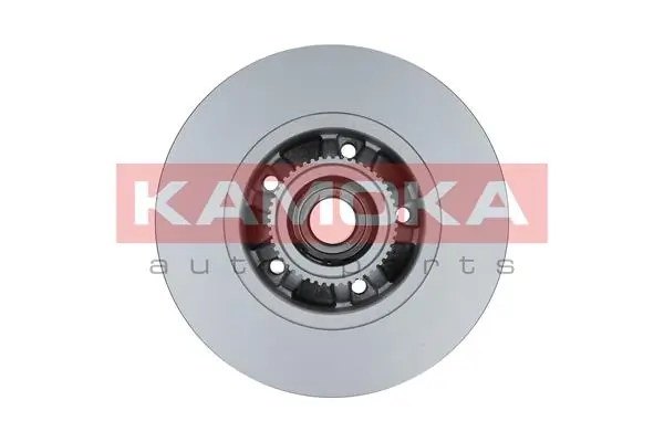 Brake Disc 1031039