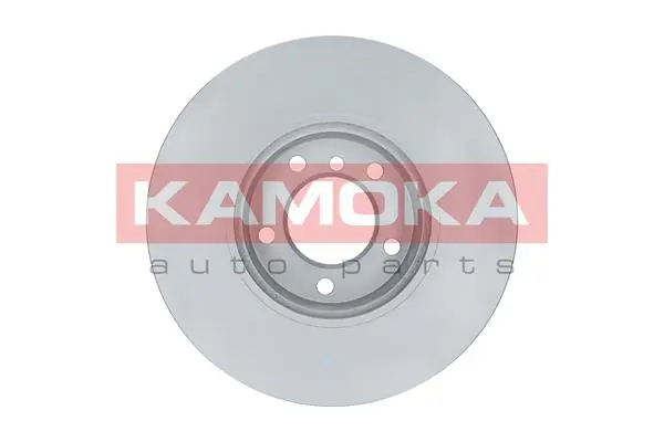 Brake Disc 1031097