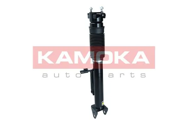Air Suspension Strut 2070018