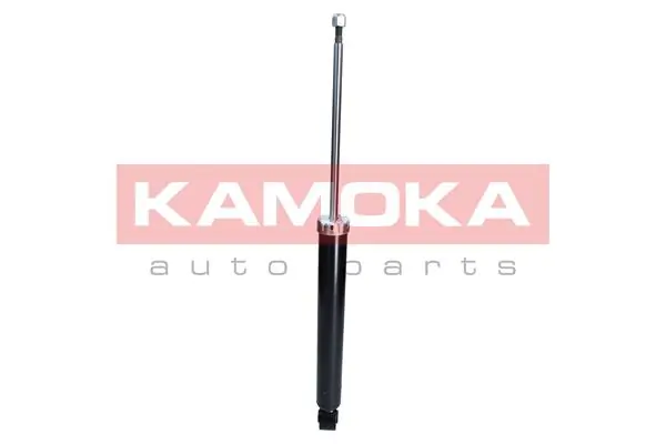 Shock Absorber 2000948