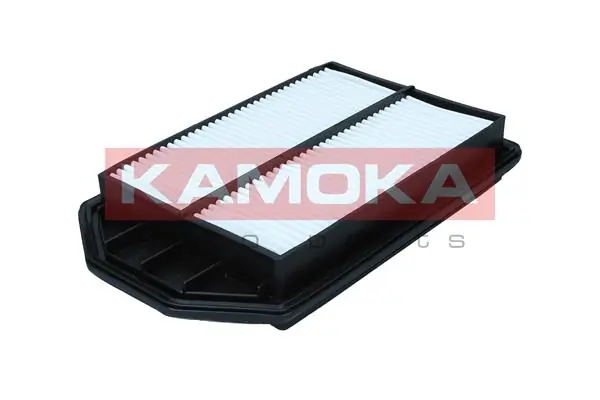 Air Filter F256701