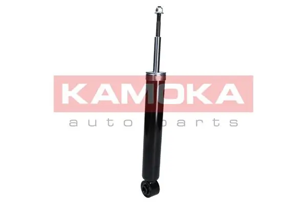 Shock Absorber 2000972