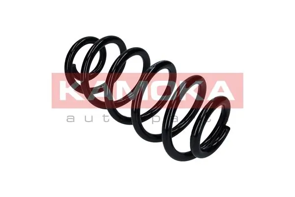 Suspension Spring 2110297