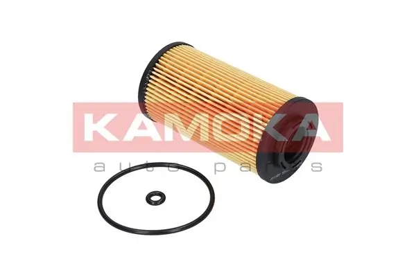 Oil Filter F111001
