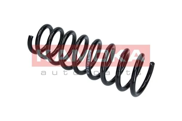 Suspension Spring 2120276