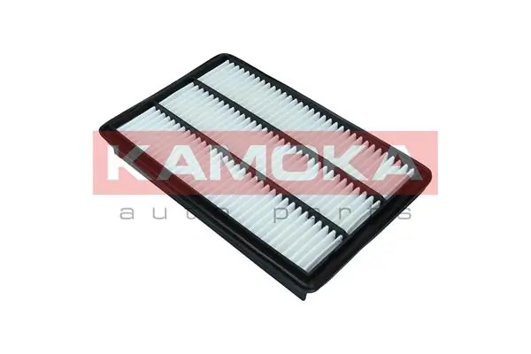 Air Filter F249801