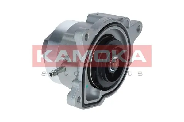 Water Pump, engine cooling T0019