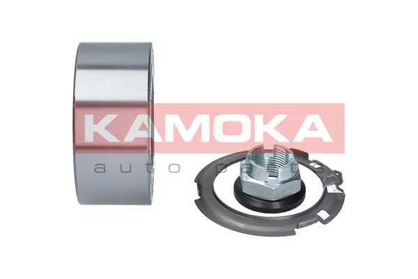 Wheel Bearing Kit 5600055