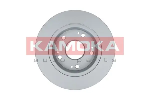 Brake Disc 103163