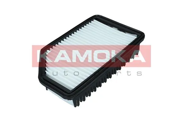 Air Filter F247301
