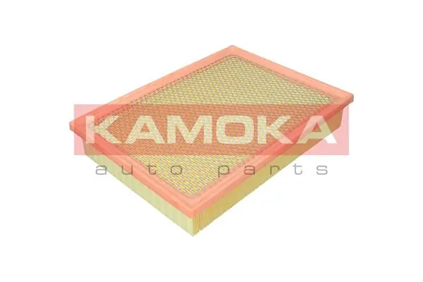 Air Filter F258801