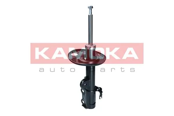 Shock Absorber 2001121