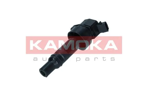 Ignition Coil 7120114