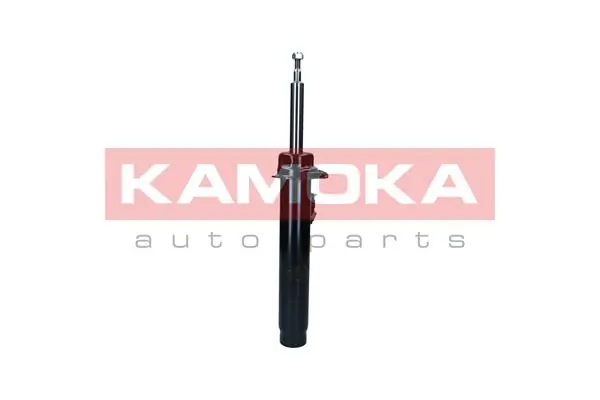 Shock Absorber 2001112