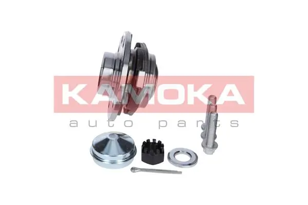 Wheel Bearing Kit 5500060