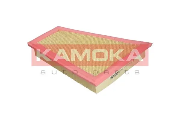 Air Filter F218801