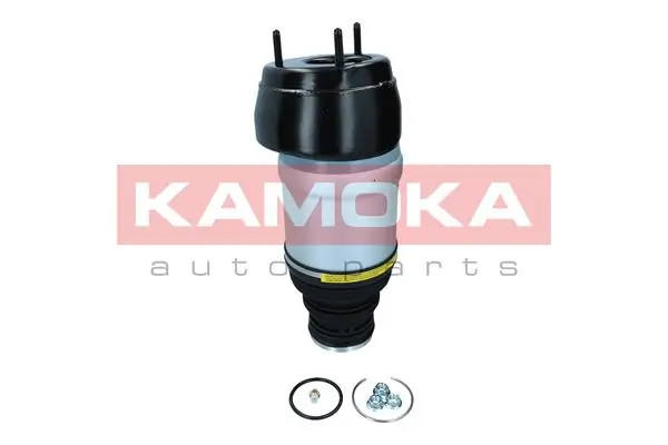Air Spring, suspension 2079047