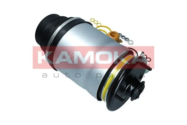 Air Spring, suspension 2079030