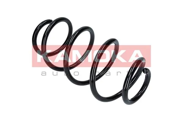 Suspension Spring 2110174