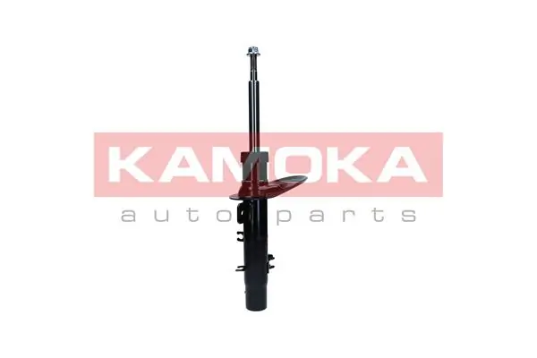 Shock Absorber 2000583