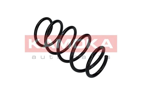 Suspension Spring 2110307