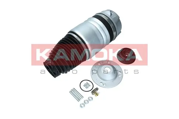 Air Spring, suspension 2079011