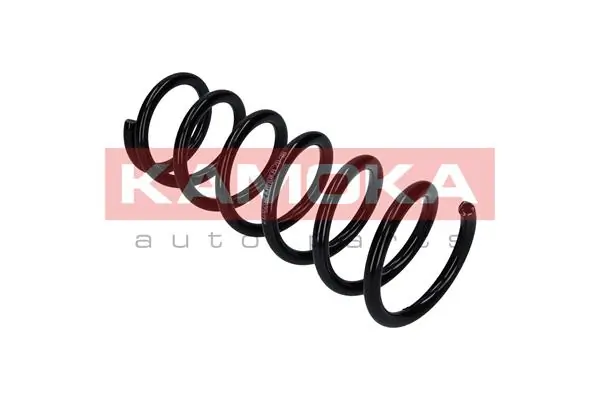 Suspension Spring 2120297