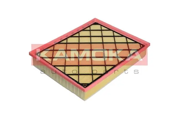 Air Filter F218901
