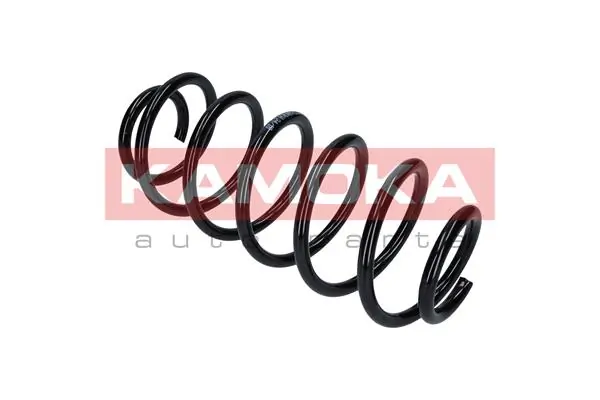 Suspension Spring 2120257