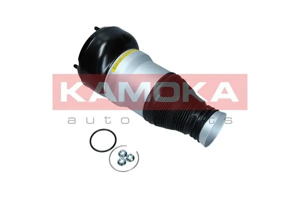 Air Spring, suspension 2079055