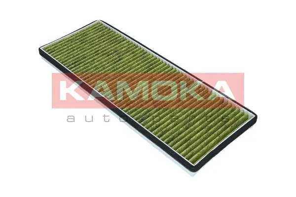 Filter, cabin air 6080028