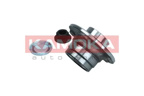 Wheel Bearing Kit 5500333