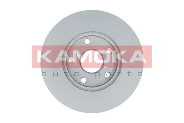 Brake Disc 1031100
