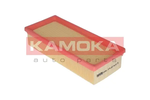 Air Filter F210601