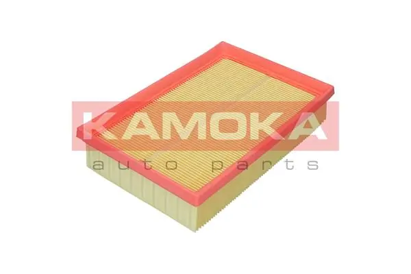 Air Filter F256301