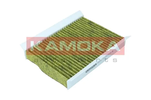 Filter, cabin air 6080016