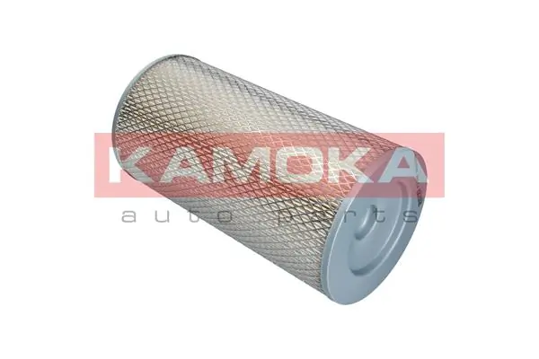 Air Filter F213801