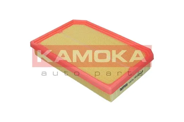 Air Filter F258101