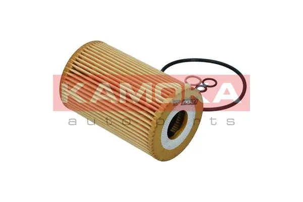 Oil Filter F121701
