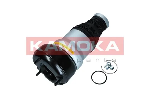 Air Spring, suspension 2079055