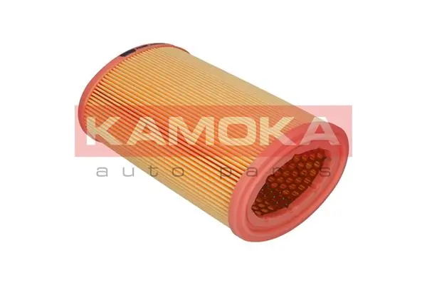 Air Filter F213801