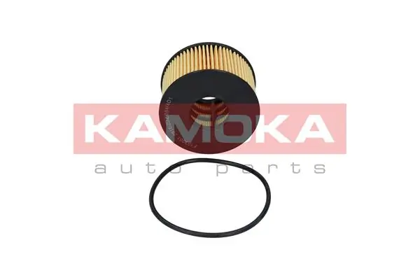 Oil Filter F103001