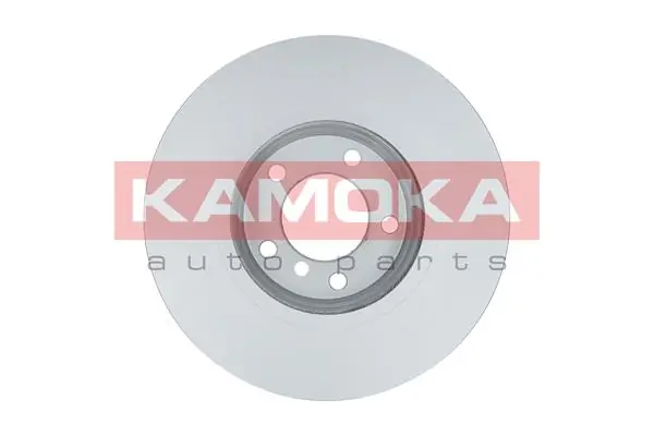 Brake Disc 1031126
