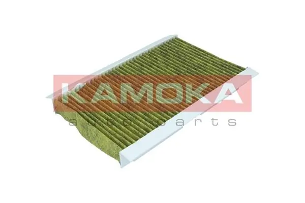 Filter, cabin air 6080009