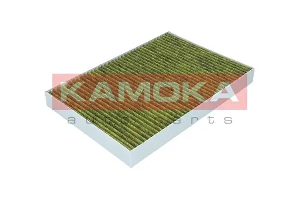 Filter, cabin air 6080020